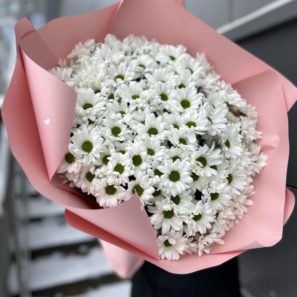 Букет из 151 белой ромашки